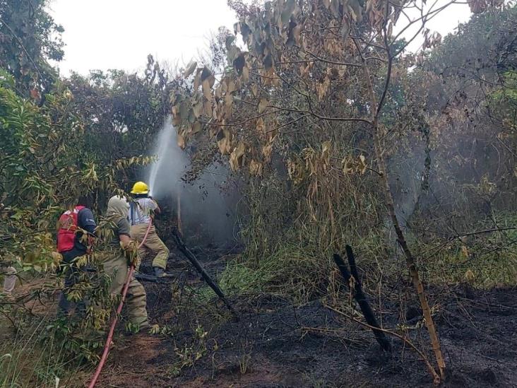 Logran controlar incendio forestal en Yecuatla