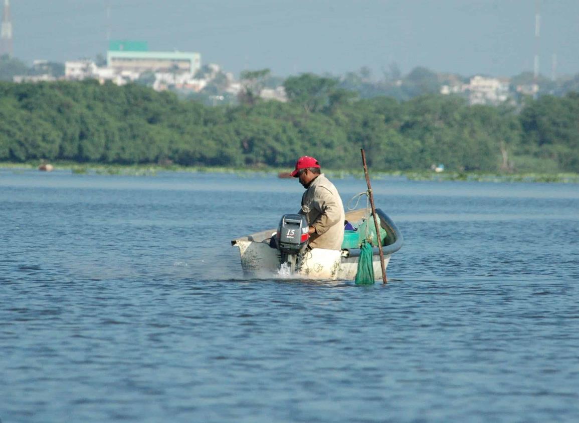 Ola de calor impacta a pescadores; ajustan horarios para navegar en costas de Coatzacoalcos 