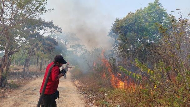 Choapenses siguen provocando incendios;  PC atiende hasta tres al día