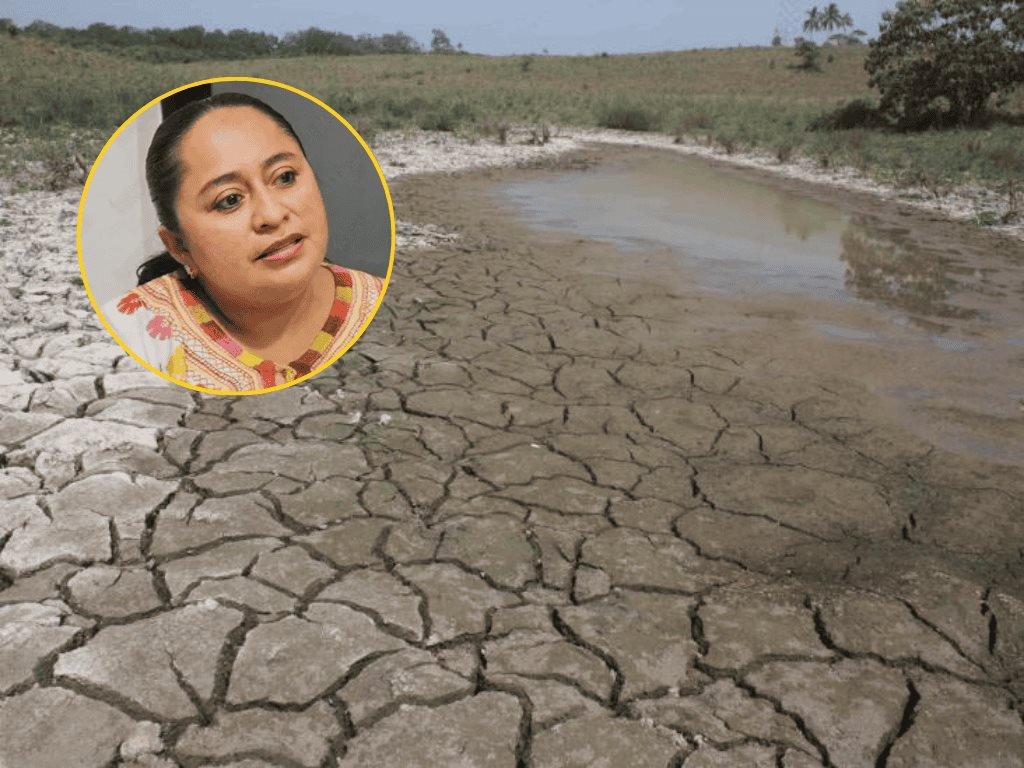 Alarma sequía en Las Choapas por excesiva deforestación | VIDEO