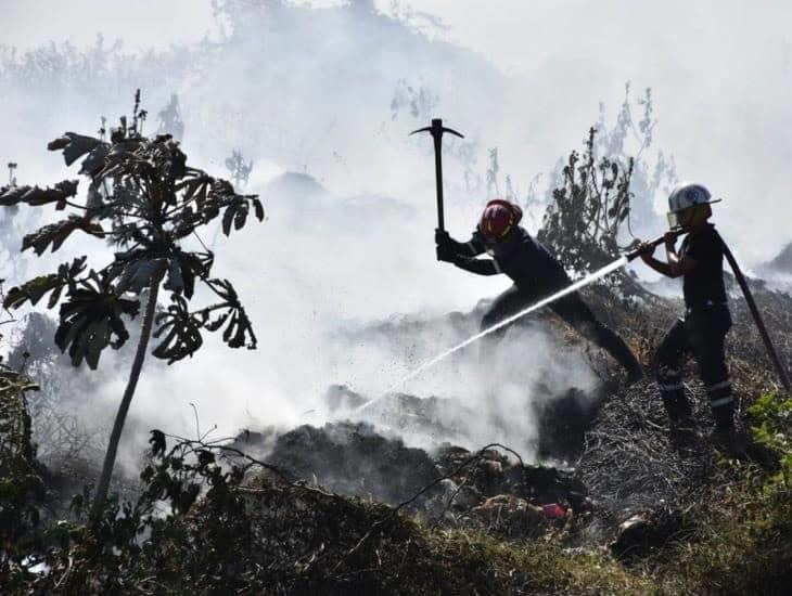 Sigue estos pasos para evitar incendios forestales en Coatzacoalcos
