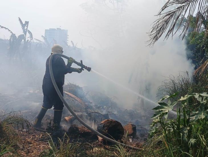 Alumnos de Coatza realizarán innovador proyecto para reforestar zonas afectadas tras incendios en Veracruz