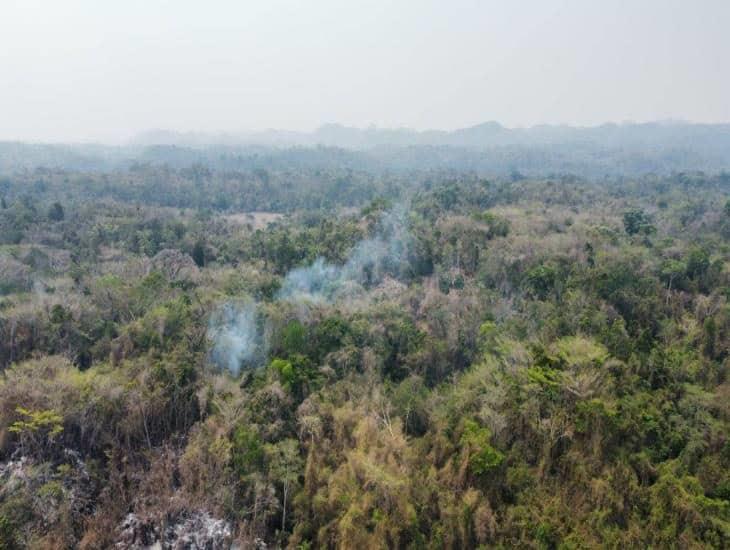 Son 7 los incendios forestales en Veracruz; en Uxpanapa, casi controlado
