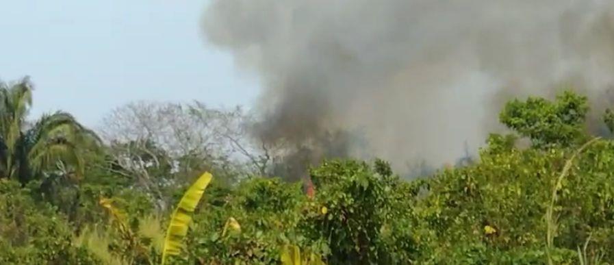 Campesinos de Chinameca pierden cosechas tras incendio en parcelas | VIDEO