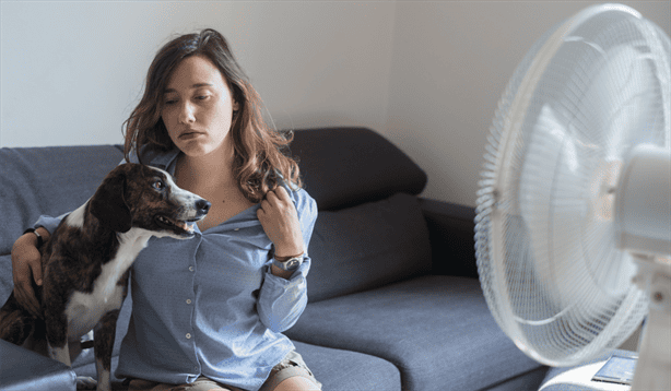 El truco para que el aire de tu ventilador salga más frío en temporada de calor