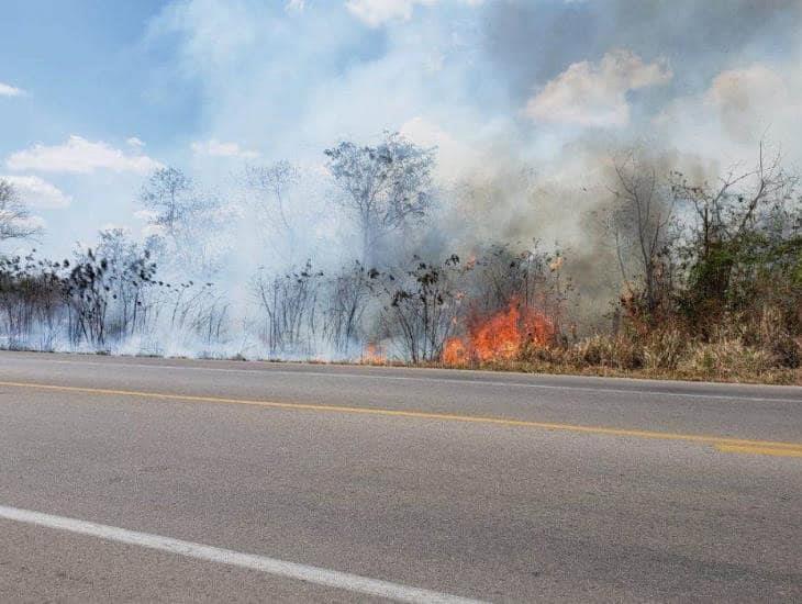 Incendios forestales representan peligro para automovilistas