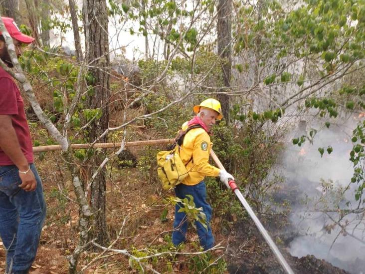 Confirma Protección Civil 9 incendios forestales activos en Veracruz