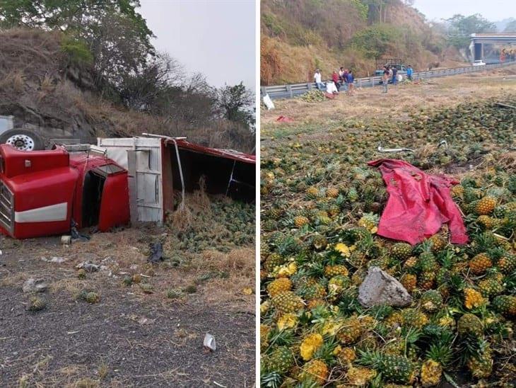 Vuelca camión torton cargado en la autopista Veracruz-Córdoba; rapiñeros al acecho