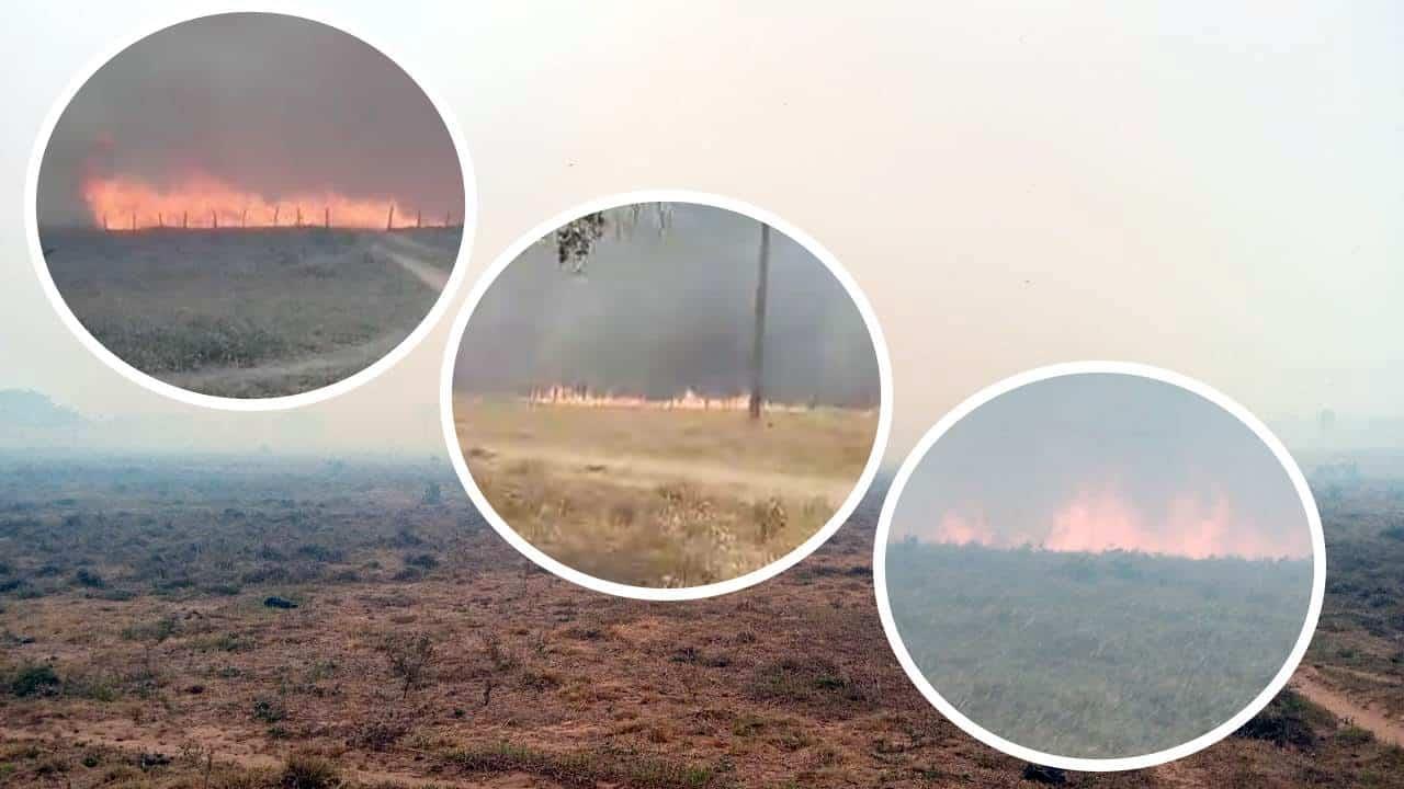 Fuego devasta zona rural de San Juan Evangelista; pobladores claman por agua y refuerzos | VIDEO