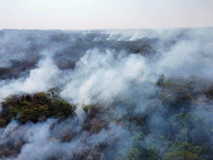 Hectáreas de bosque se incendian en Valle de Uxpanapa; alcalde denuncia falta de apoyo de gobierno estatal | VIDEO
