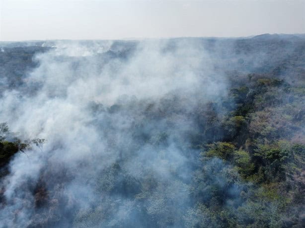 Hectáreas de bosque se incendian en Valle de Uxpanapa; alcalde denuncia falta de apoyo de gobierno estatal | VIDEO