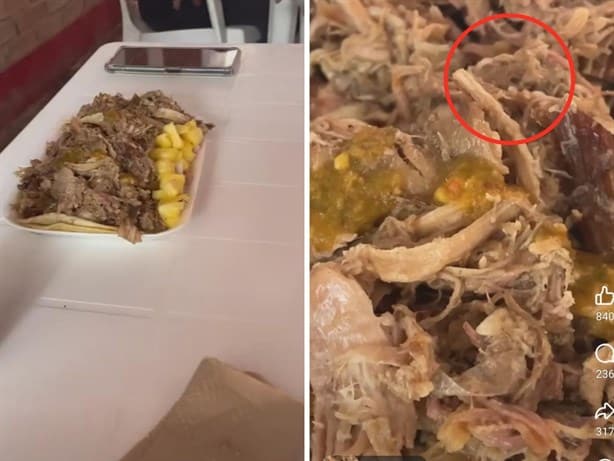 ¡Carne extra!; exhiben a negocio de Xalapa, por vender tacos con gusanos (+Video)