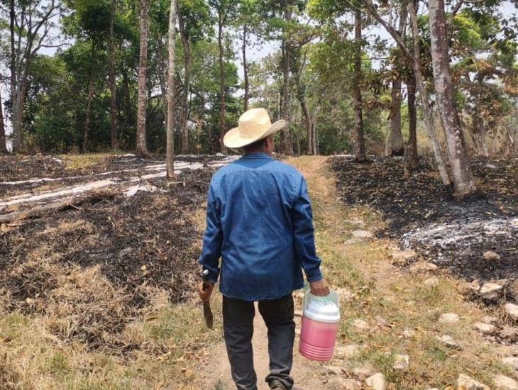 Fuego consumió más de 100 hectáreas en Ixhuatlán del Sureste; campesinos no recibieron apoyo | VIDEO