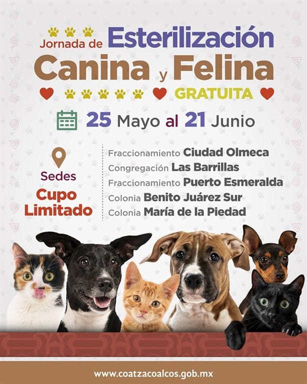 Jornada de Esterilización Canina y Felina en Coatzacoalcos ¿cuándo y en que colonias?