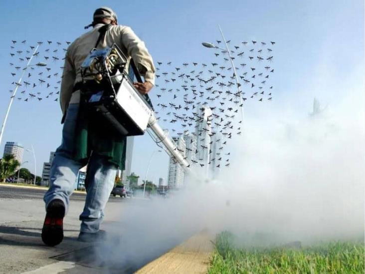Aumenta dengue; este lugar ocupa ya Veracruz por repunte de casos