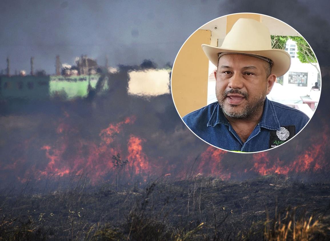 Destructiva ola de calor triplica incendios y acaba con fauna en el sur de Veracruz | VIDEO