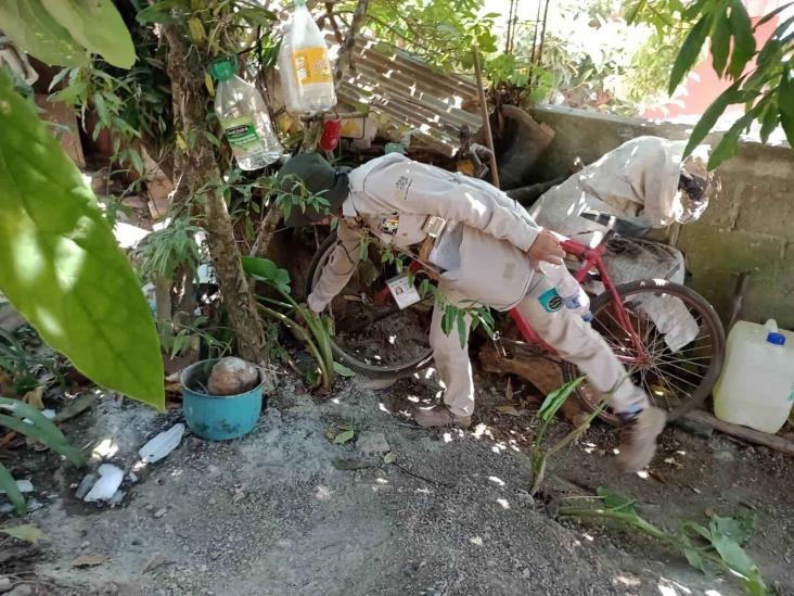 Ante elevados casos de dengue, realizan jornadas para limpiar cacharros en Xalapa