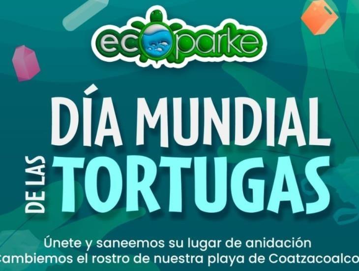 Día Mundial de la Tortuga:  harán jornada de limpieza en zonas de desove en Coatzacoalcos