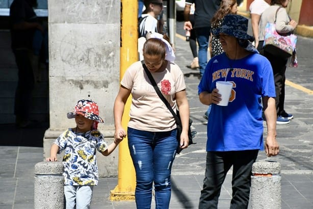 Veracruz, el estado con más defunciones por olas de calor