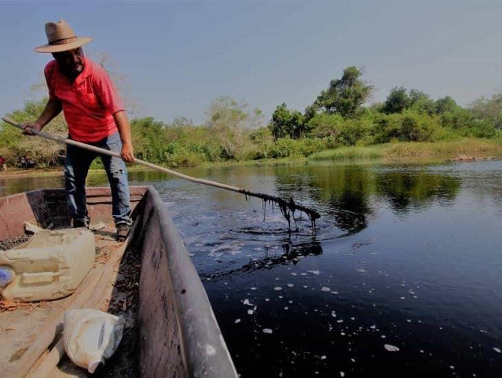 Teleftalatos lleva 30 años devastando flora y fauna del sur de Veracruz; estas héctareas son afectadas | VIDEO