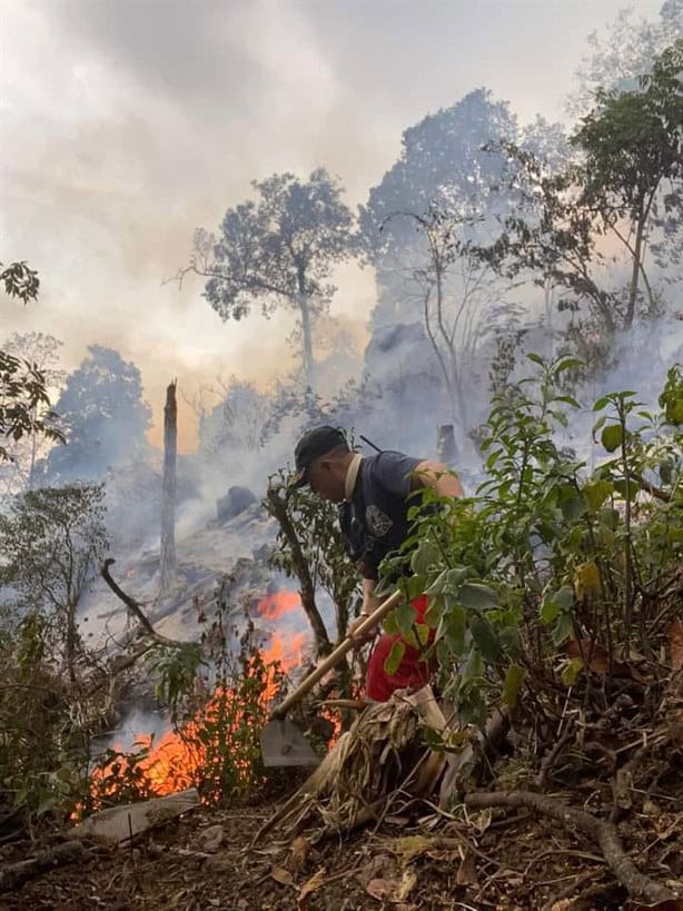 Incendios en Veracruz: Reporta SPC 15 incendios forestales y cinco de pastizales
