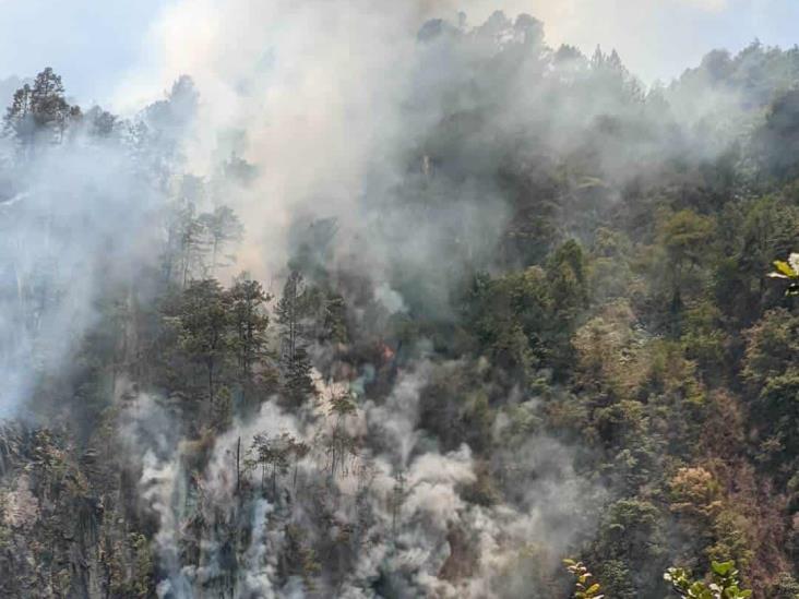 De nuevo incendios en zona centro de Veracruz, ante altas temperaturas