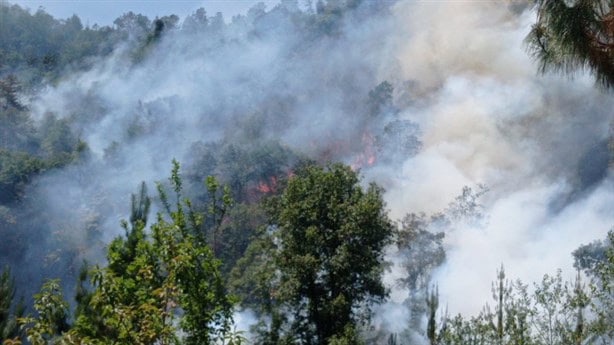 De nuevo incendios en zona centro de Veracruz, ante altas temperaturas